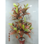 Artificial Plant 1920 C