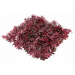 Red Maple Leaves Tiles for Vertical Garden - Artificial Garden