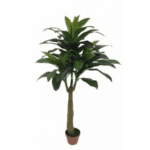 Artificial Dracaena plant 4'