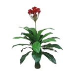 Artificial Plant 1807 B