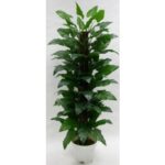 Artificial Calla Lily Giant Plant 6