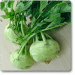 Knol Khol F1 Hybrid -Indian Vegitables