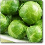 Brussel Sprout Long Island