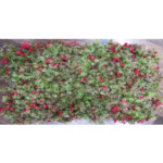 Dry Leaves with Red Flowers Tiles for Vertical - Indoor
