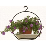 Hanging Ring(Set Of 6 Rings