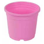 Sunrise Pot 11 cm (4.5") Pink