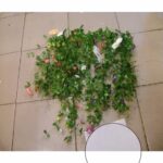 Artificial Hanging Begonia Creeper 84''