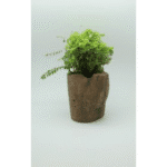 Woodlike Pots-Fm069
