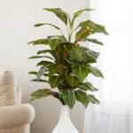 Artificial Croton Mini Plant