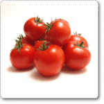 Tomato F1 Hybrid TS 15