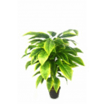 Artificial Para Rubber Tree V.G 2'