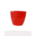 Red Color Daisy Planter 12.5 cm
