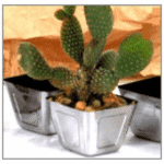 Miniatures Table Top(Tapper)