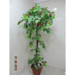 Artificial Plant 1920 F�