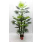 Artificial Mini Fan Palm Tree x 40 Lvs, Real Touch 6