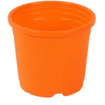 Sunrise Pot 19.5 cm (8") Orange