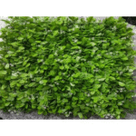 White Flower Round Ball Leaves Tiles for Vertical Garden - Artificial Garden