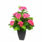 Artificial Hydrangea 2' With Black Square Pot