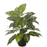 Artificial Dieffenbachia Plant 2'�