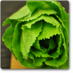 Lettuce Romaine Imported