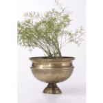 Gold Planter with Round Base (70135)