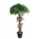 Artificial Ming Aralia Topiary Plant N Coffee wood�
