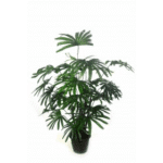 Artificial Raphis Palm Plant Super