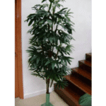 Artificial Raphis Palm Dark Plant 5'