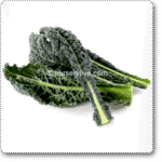 Tuscan Kale Exotic Vegetable Seeds
