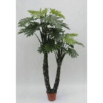 Artificial Double Philo Real Plant