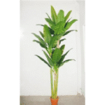 Artificial Banana Tree Real Touch x 3 10 Feet