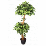 Artificial V.G.Ficus Double Topiary in Coffee Wood 5