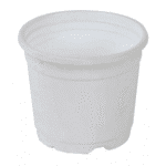 Sunrise Pot 19.5 cm (8") White