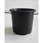 Sunrise Pot 11 cm