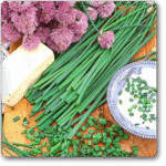 Chives