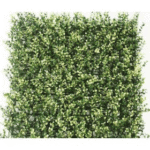 Green Yellowish Leaves for Vertical Garden - Outdoor