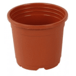 Sunrise Pot 26 cm (10" ) terracotta