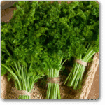 Parsley Forest Green