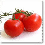 Tomato F1 Hybrid Sachriya