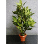 Artificial Codiam Picdam Mini Plant 2'