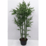 Artificial Bamboo Plant 2809 - E