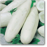 Cucumber F1 White Long -Indian Vegitables