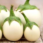 Brinjal F1 Aveo Round