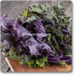 Red Russian Kale Exotic Vegetable Seeds