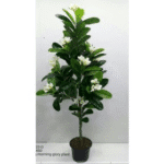 Artificial Big Morning Glory Plant 2922 - D�