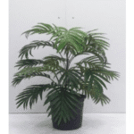 Artificial Plant 2613 - B