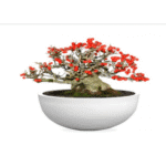 Illuminated Planter 9158