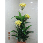 Artificial Plant 1807 D