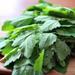 Bathuya Desi- Bathua -Indian Vegitables