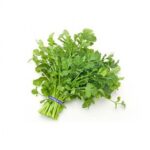 Coriander green aroma
